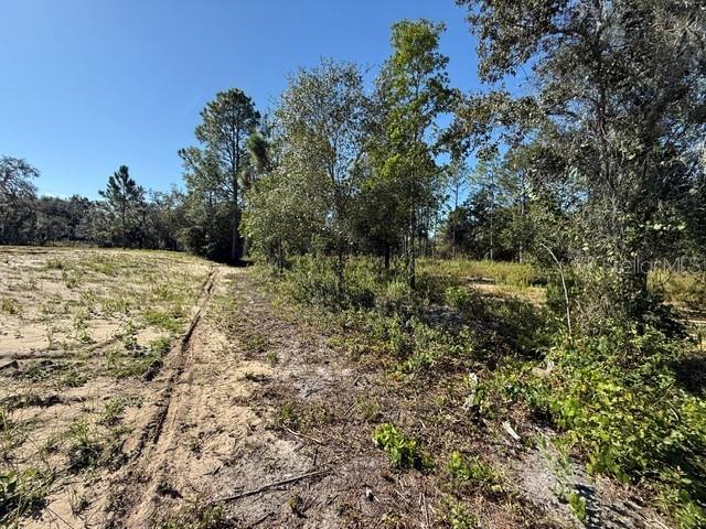 6123 Oil Well Road Clermont, FL 34714 - Photo 4 of 5
