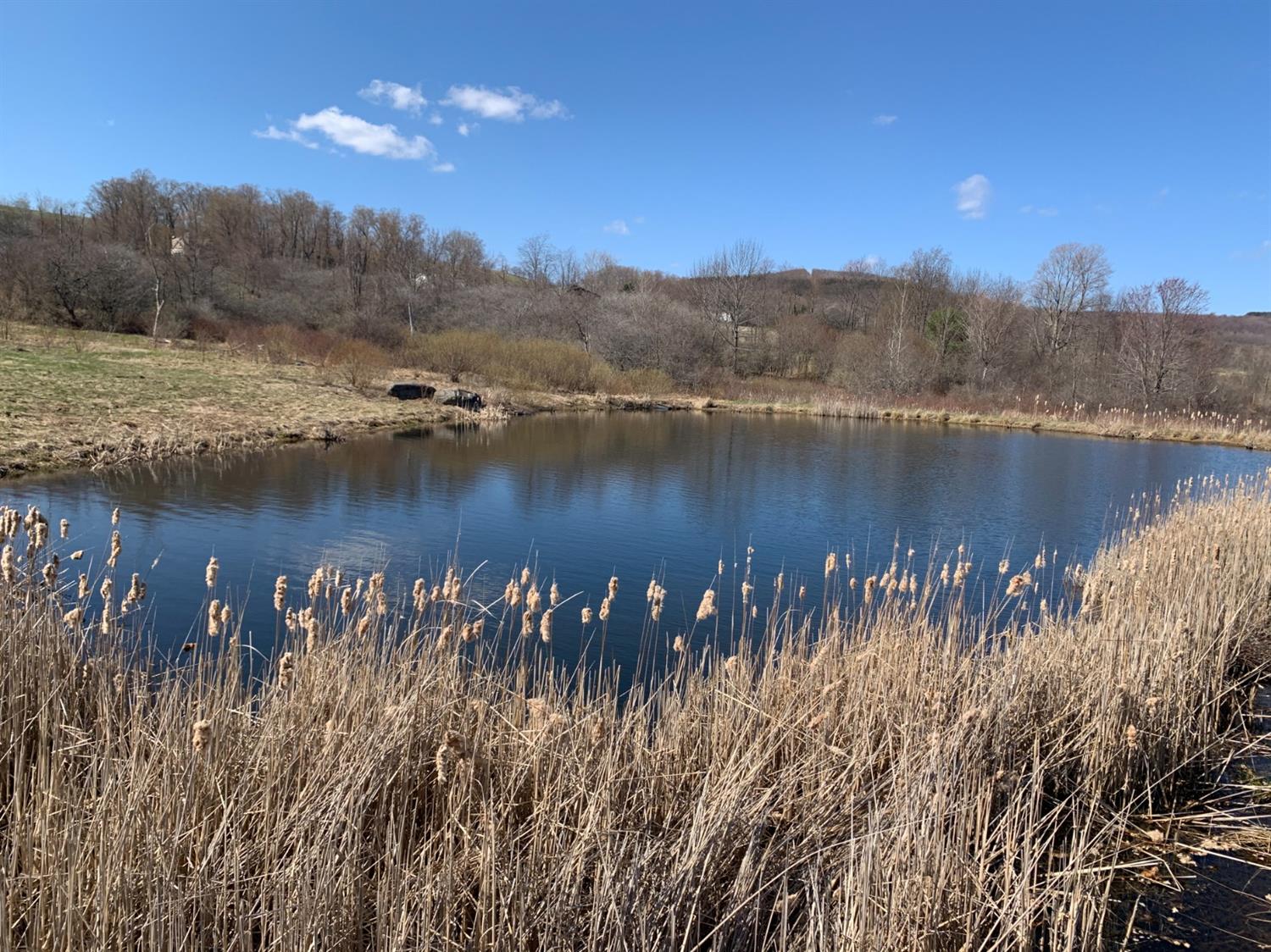 312 Taylor Road Jefferson, NY 12167 - Photo 1 of 1 Gallery Image 1