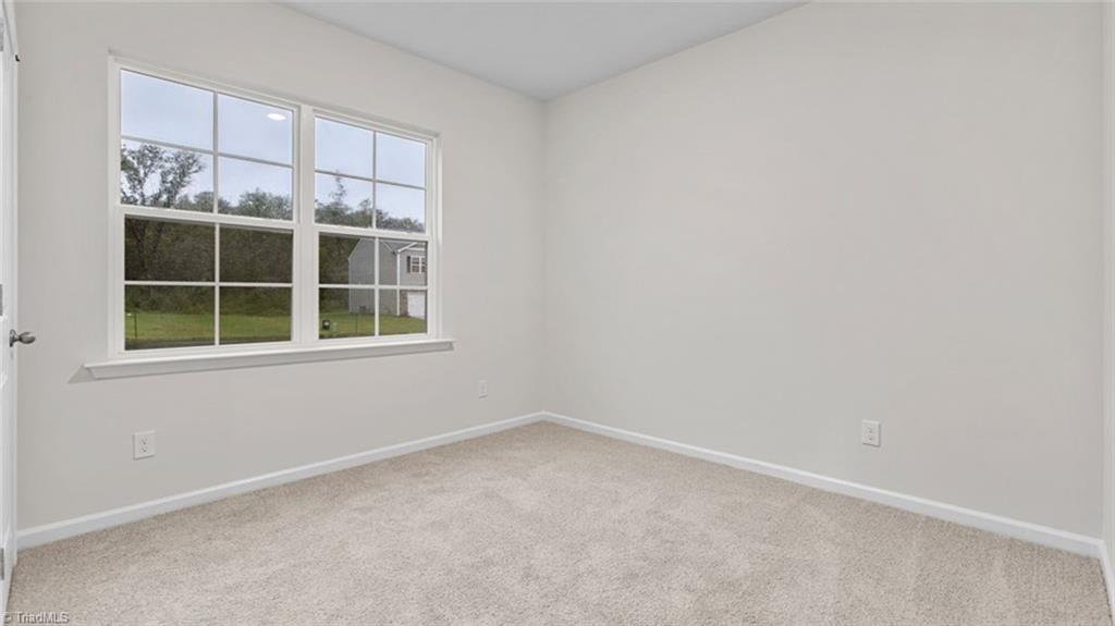214 Pepper Tree Road Stokesdale, NC 27357 - Photo 5 of 25