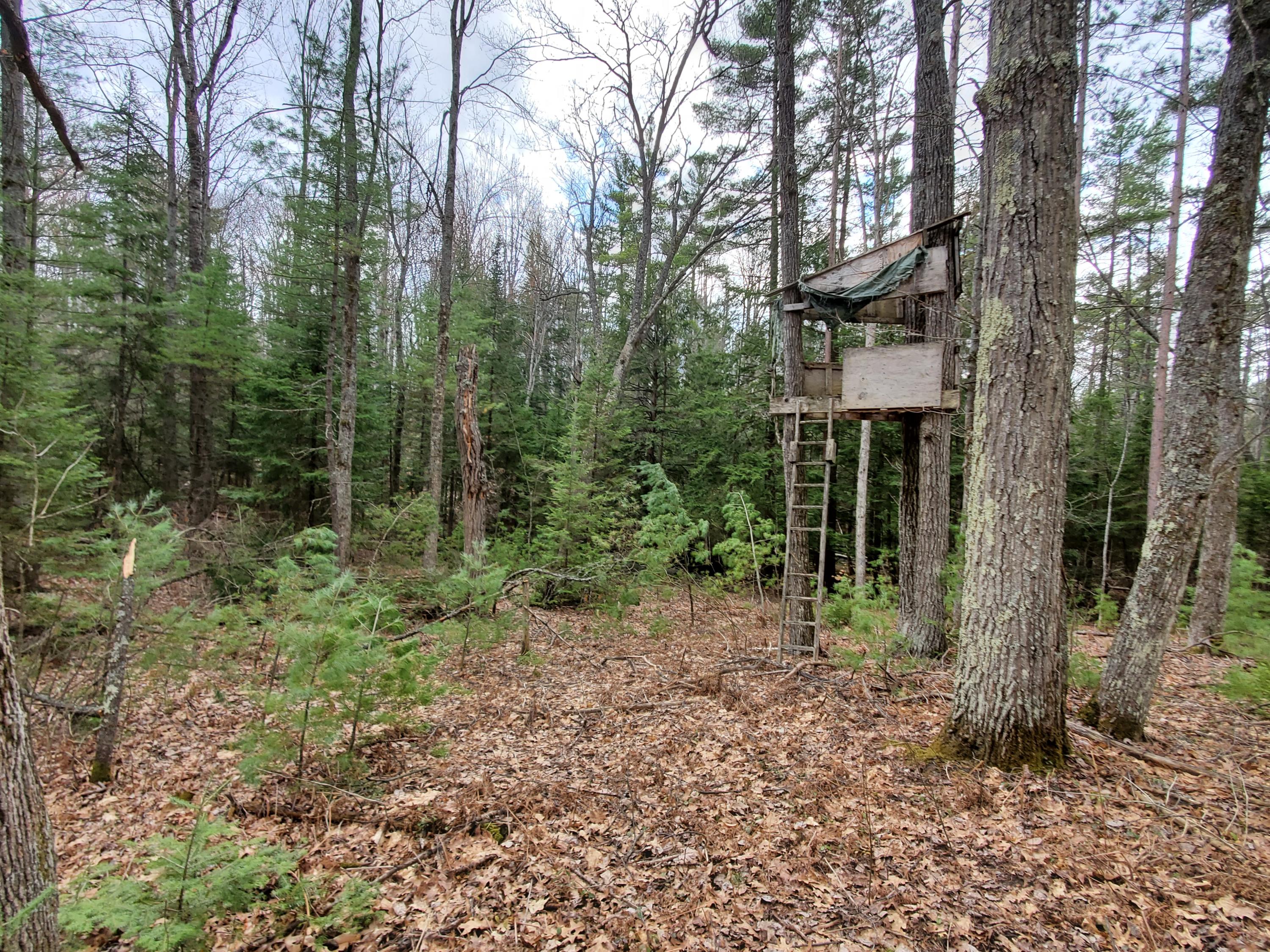 2698 South Mt Tom Road Mio, MI 48647 - Photo 24 of 27 Gallery Image 24