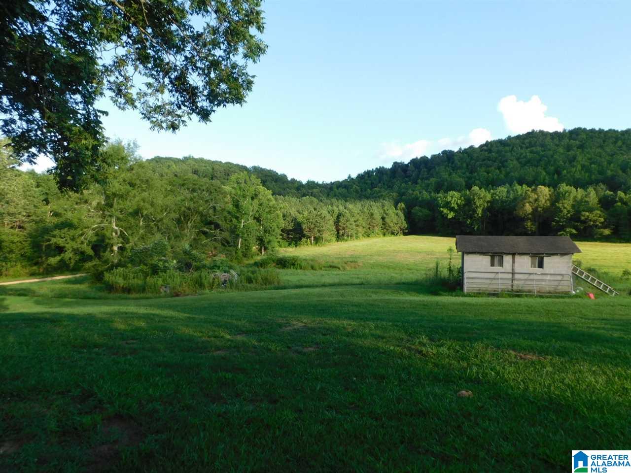 710 Rock Bridge Road Gallant, AL 35972 - Photo 3 of 14 Gallery Image 3