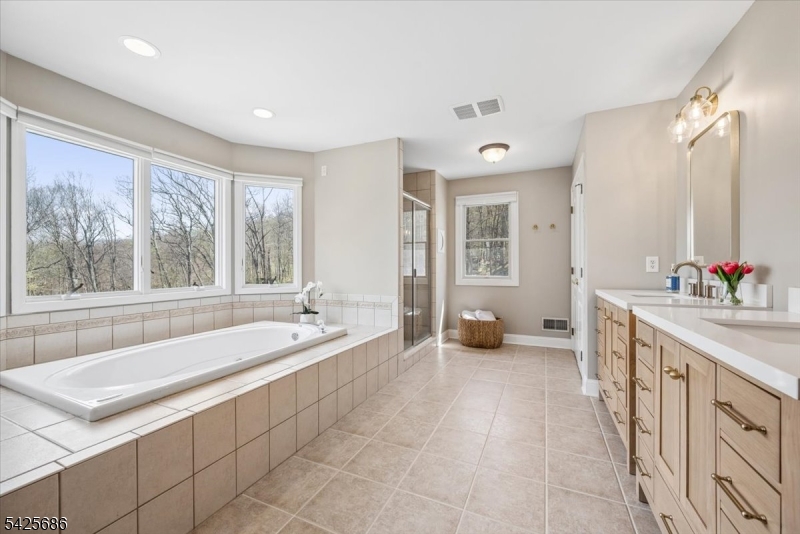 9 Mills Ridge Sparta, NJ 07871 - Photo 24 of 37