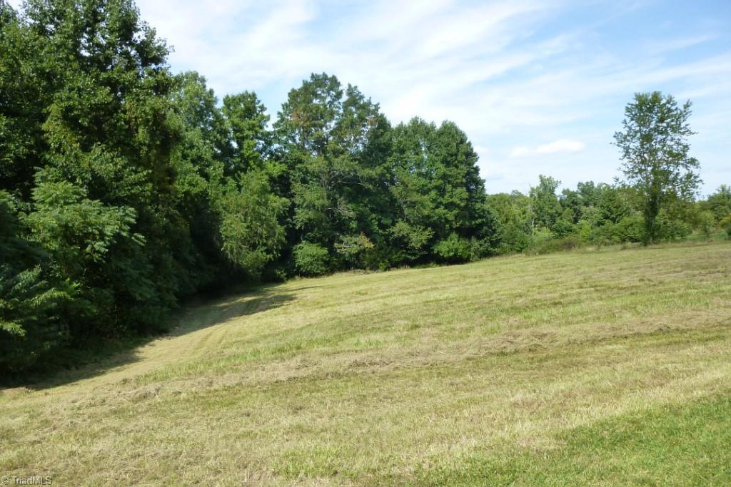 1325 Pell Road Westfield, NC 27053 - Photo 21 of 21 Gallery Image 21