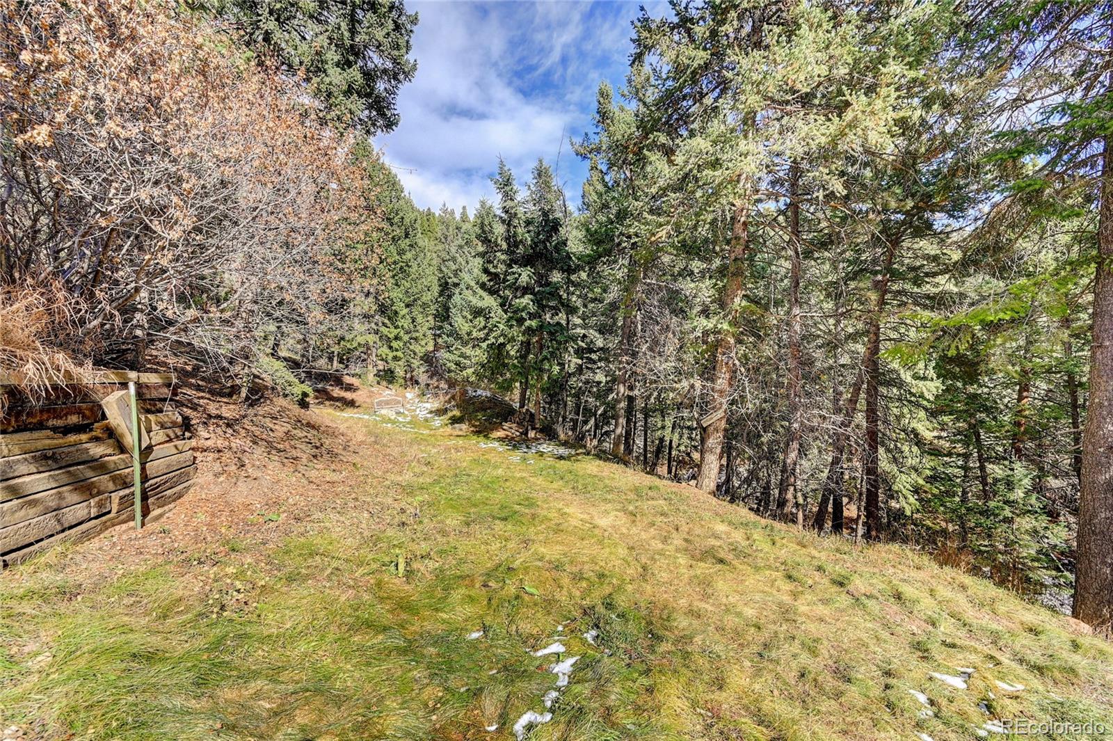 32856 Timber Ridge Road Evergreen, CO 80439 - Photo 35 of 41 a view of a yard with large trees
