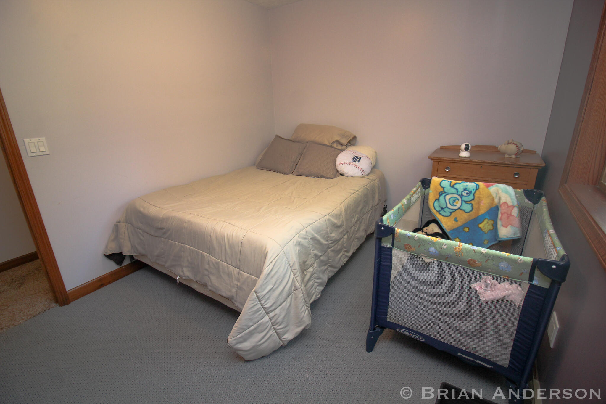 10809 Ware Road Lowell, MI 49331 - Photo 63 of 91 IMG_4013