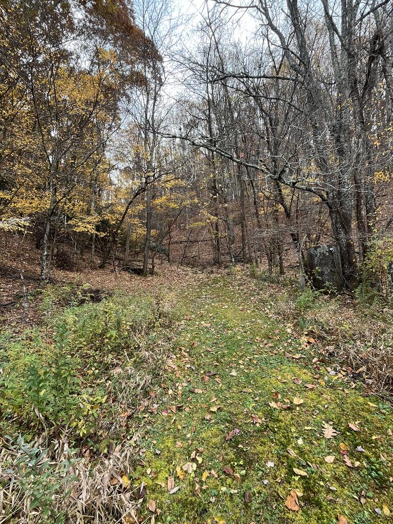 94 Rugby Road Mouth Of Wilson, VA 24363 - Photo 7 of 23 Gallery Image 7