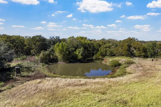a view of an outdoor space with yard