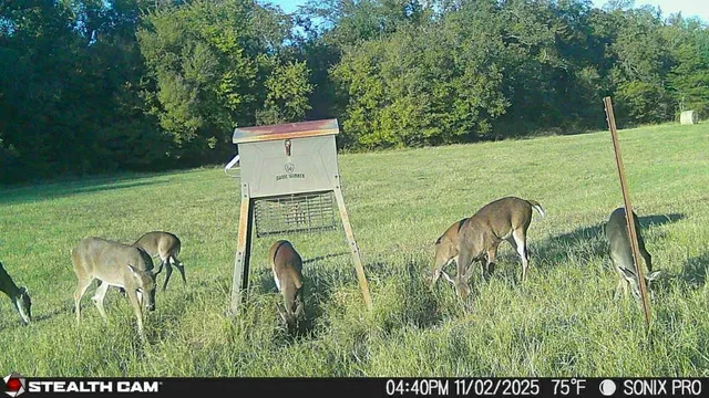 $2,450,000 | 684 County Road 473, Lott, TX 76656