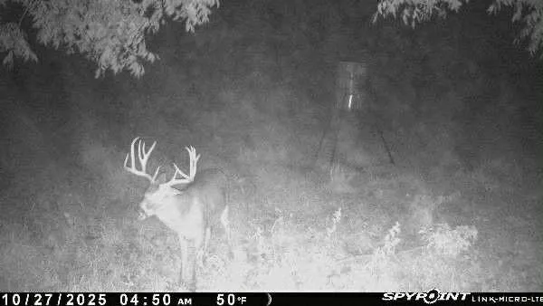 $2,450,000 | 684 County Road 473, Lott, TX 76656