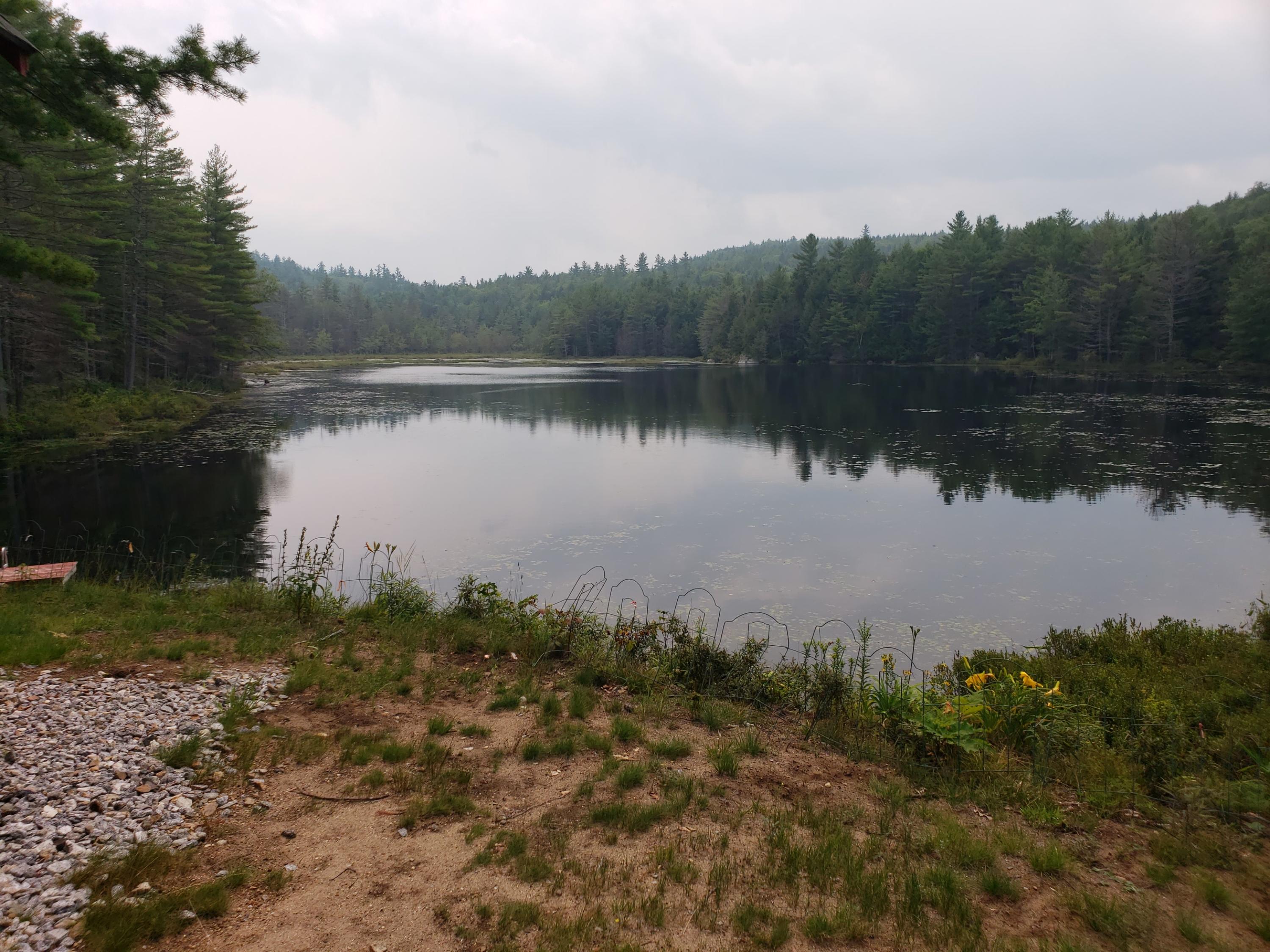 52 Whitney Pond Road Stoneham, ME 04231 - Photo 11 of 50 pond view