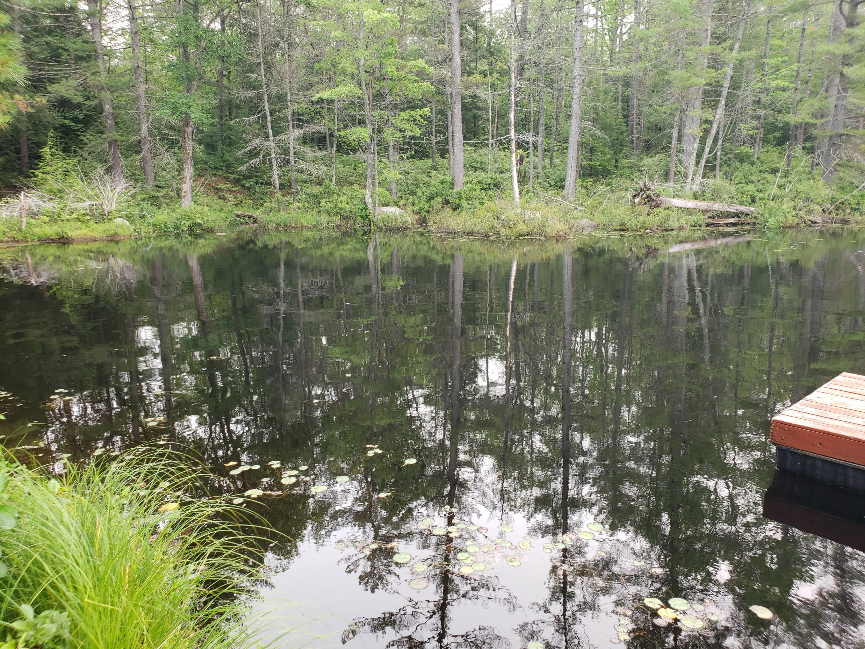 52 Whitney Pond Road Stoneham, ME 04231 - Photo 14 of 50 across pone