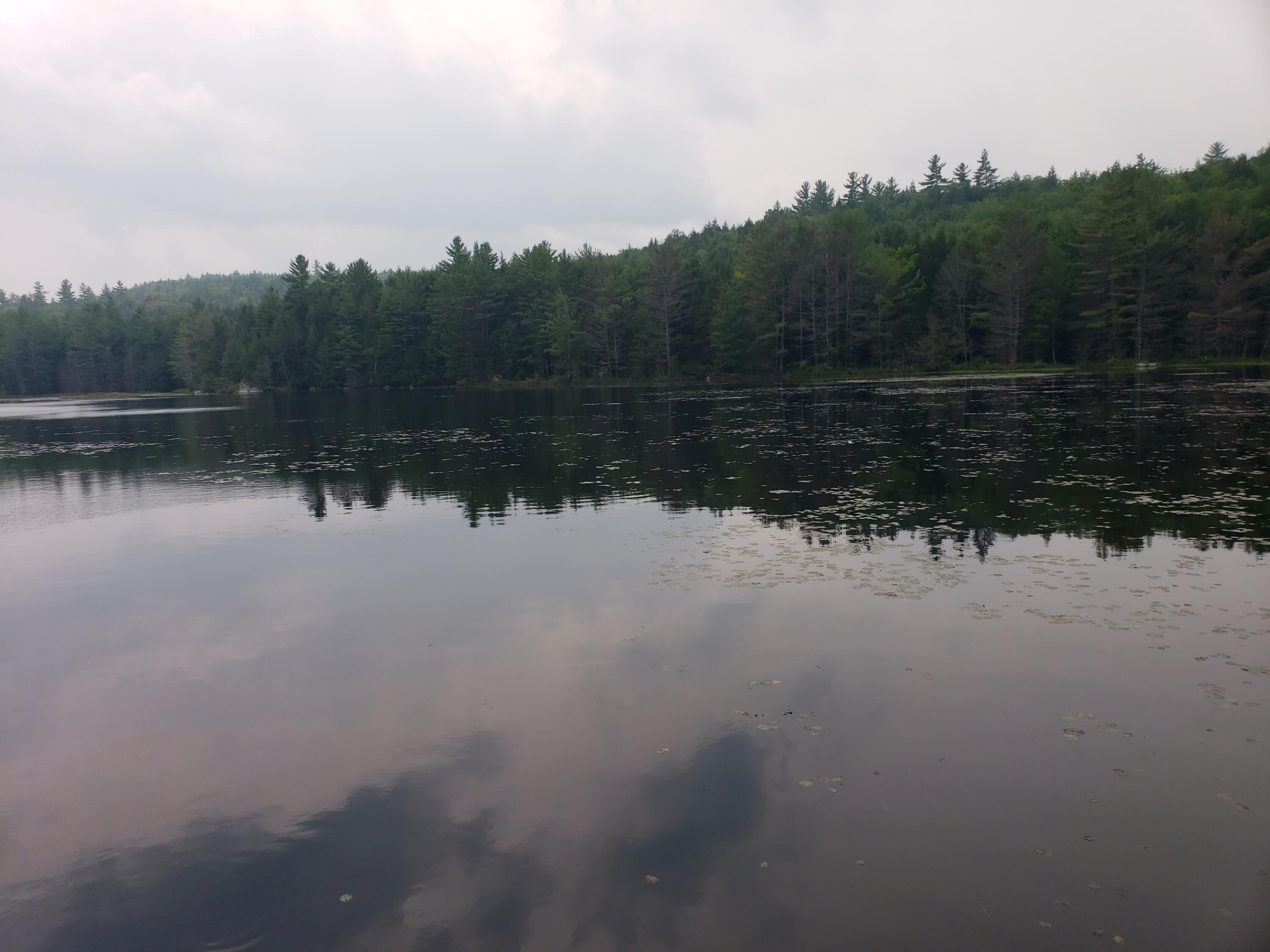 52 Whitney Pond Road Stoneham, ME 04231 - Photo 19 of 50 water view