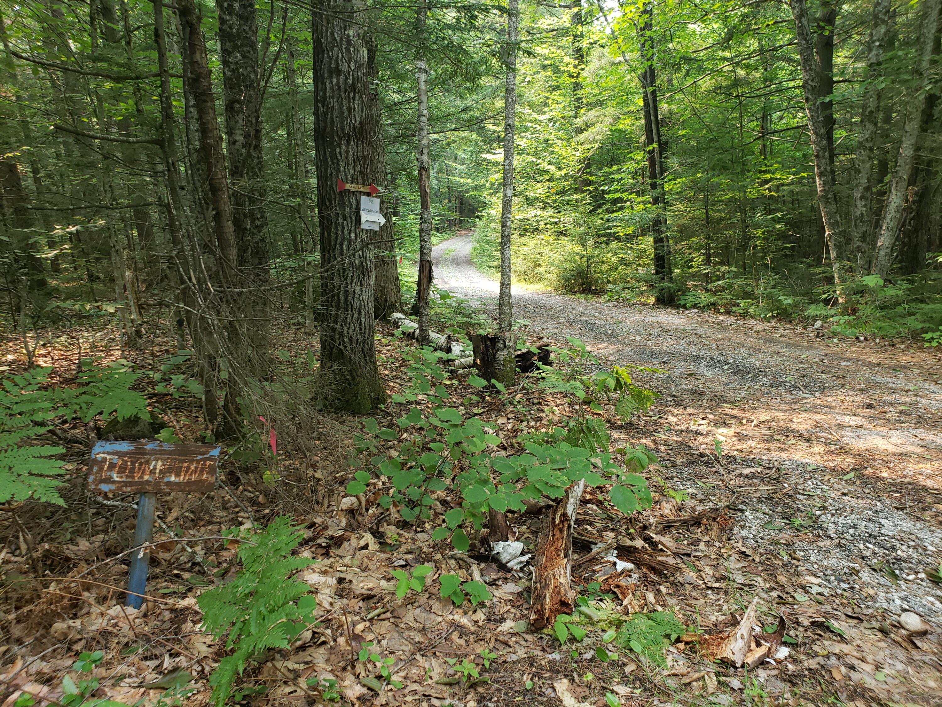 52 Whitney Pond Road Stoneham, ME 04231 - Photo 39 of 50 access road