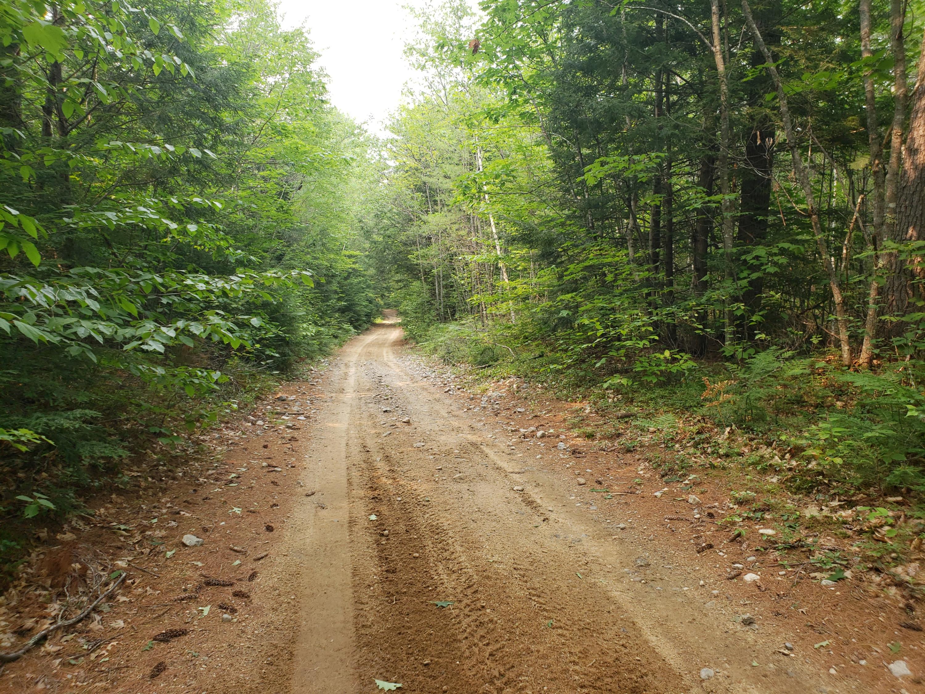 52 Whitney Pond Road Stoneham, ME 04231 - Photo 43 of 50 access road