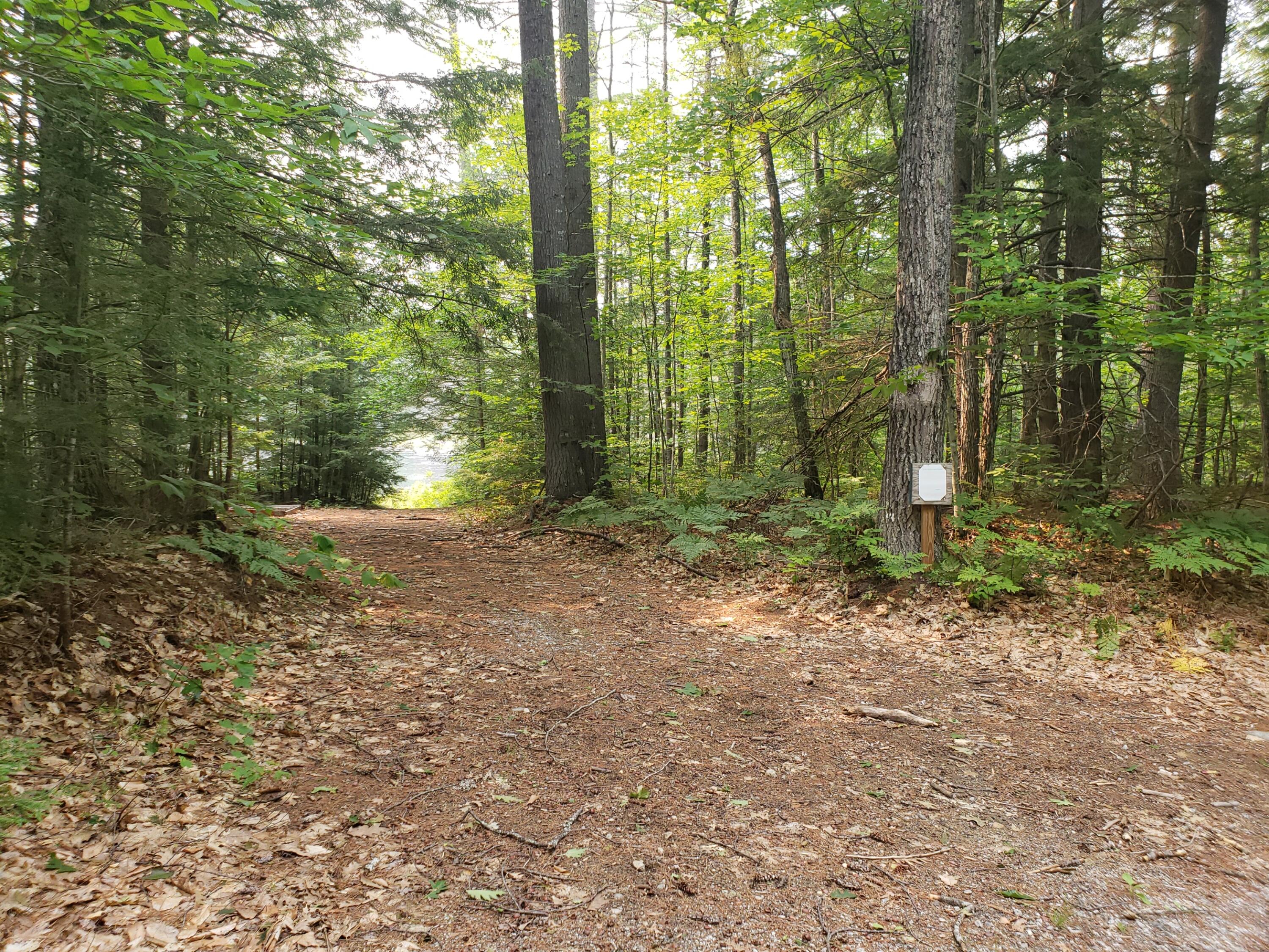 52 Whitney Pond Road Stoneham, ME 04231 - Photo 44 of 50 access road