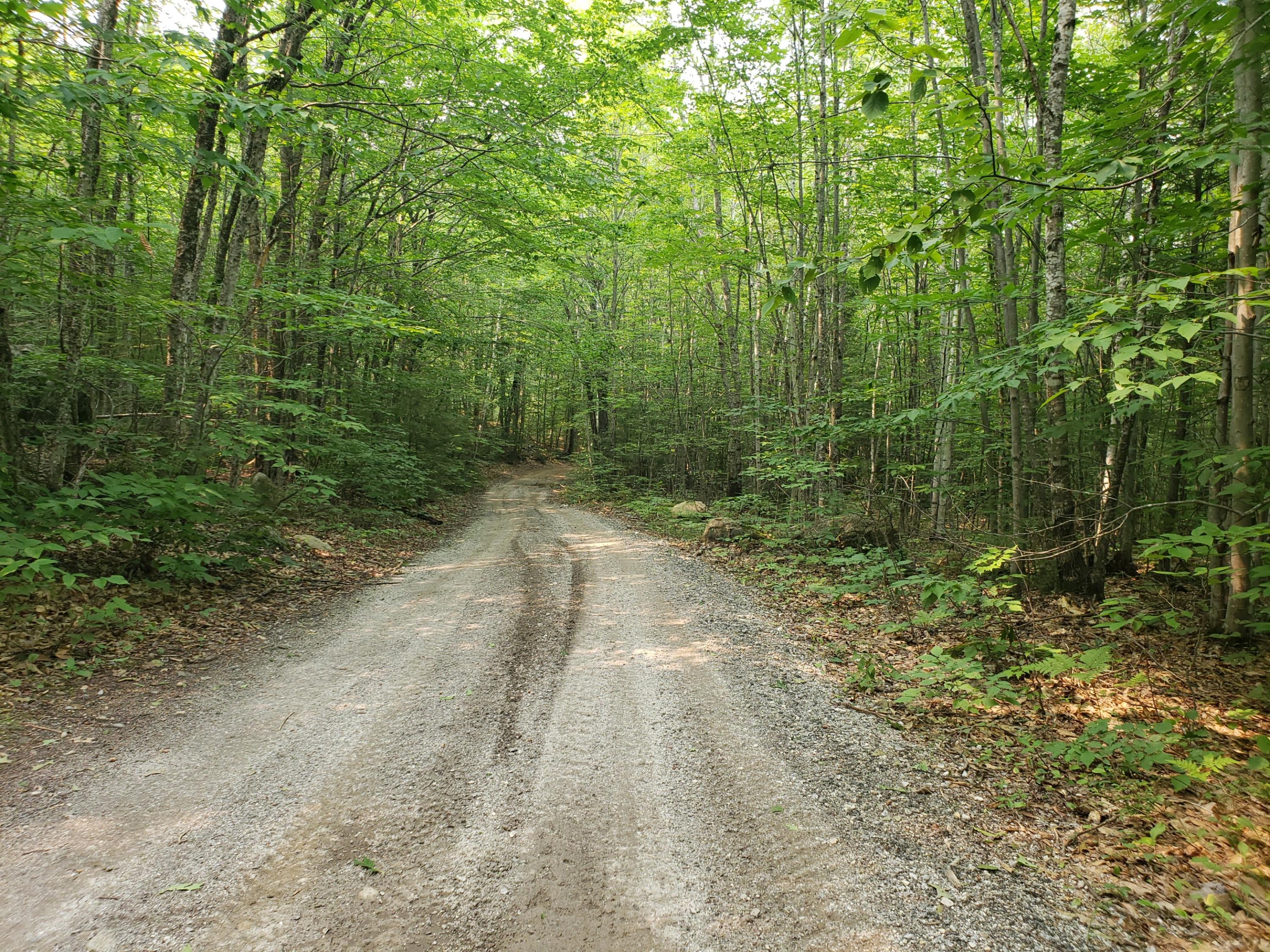 52 Whitney Pond Road Stoneham, ME 04231 - Photo 45 of 50 access road