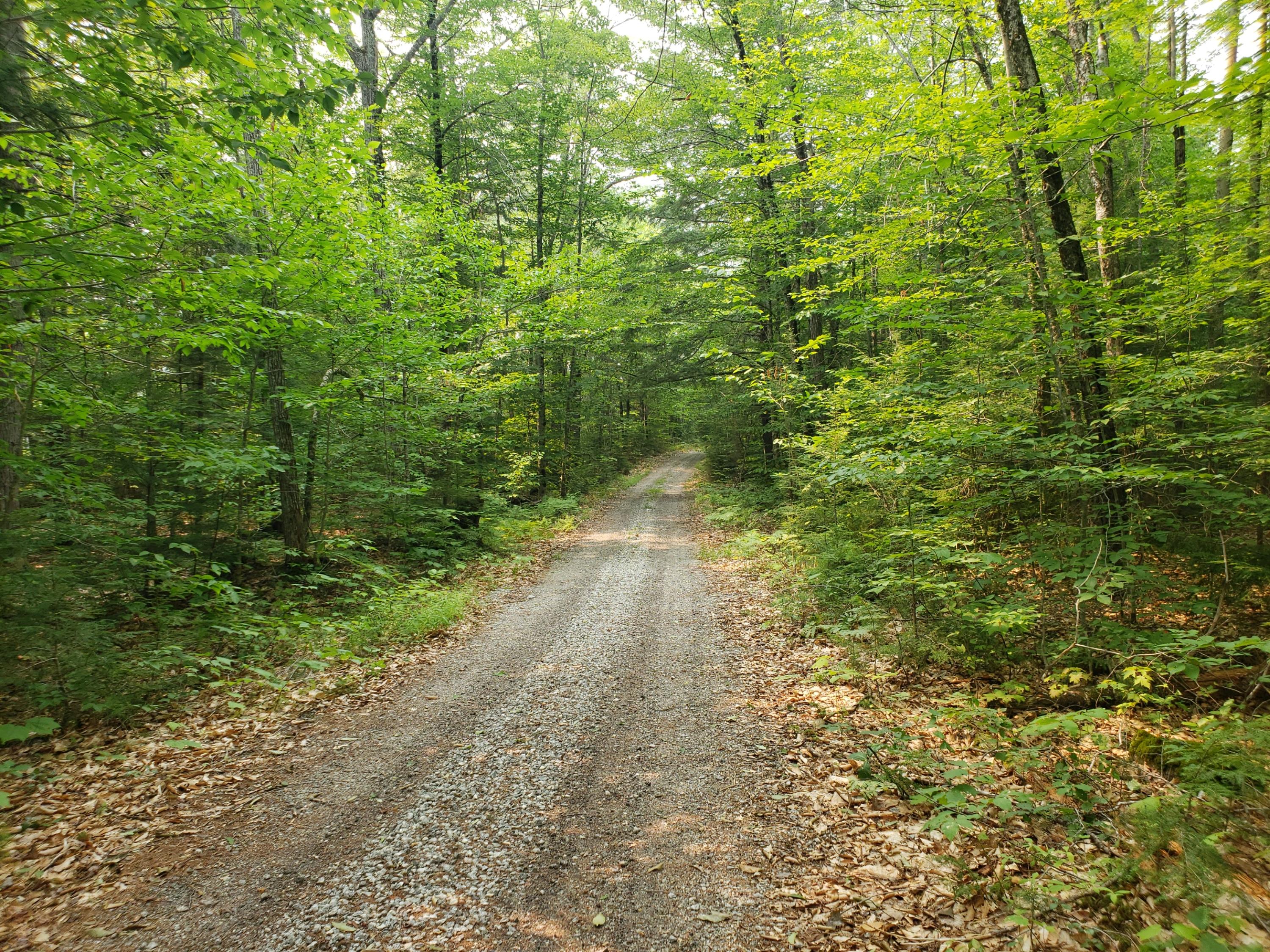 52 Whitney Pond Road Stoneham, ME 04231 - Photo 46 of 50 access road