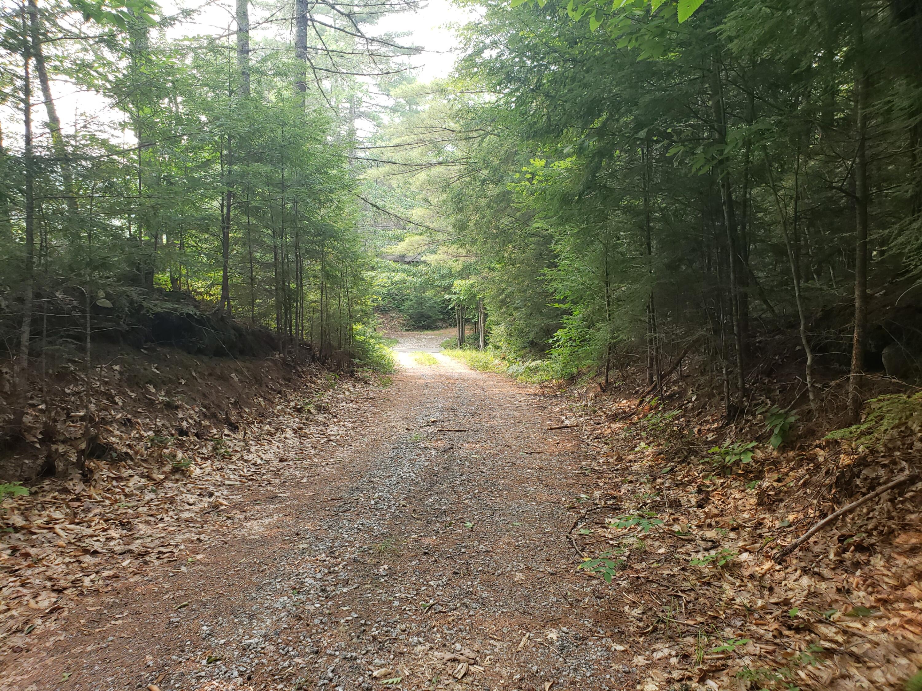 52 Whitney Pond Road Stoneham, ME 04231 - Photo 48 of 50 access road