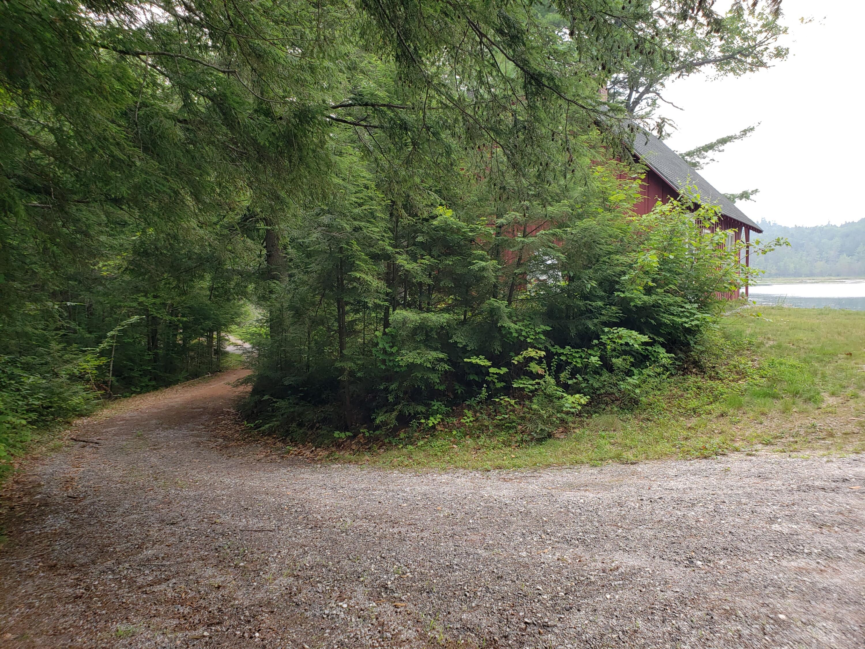 52 Whitney Pond Road Stoneham, ME 04231 - Photo 6 of 50 drive approaching camp