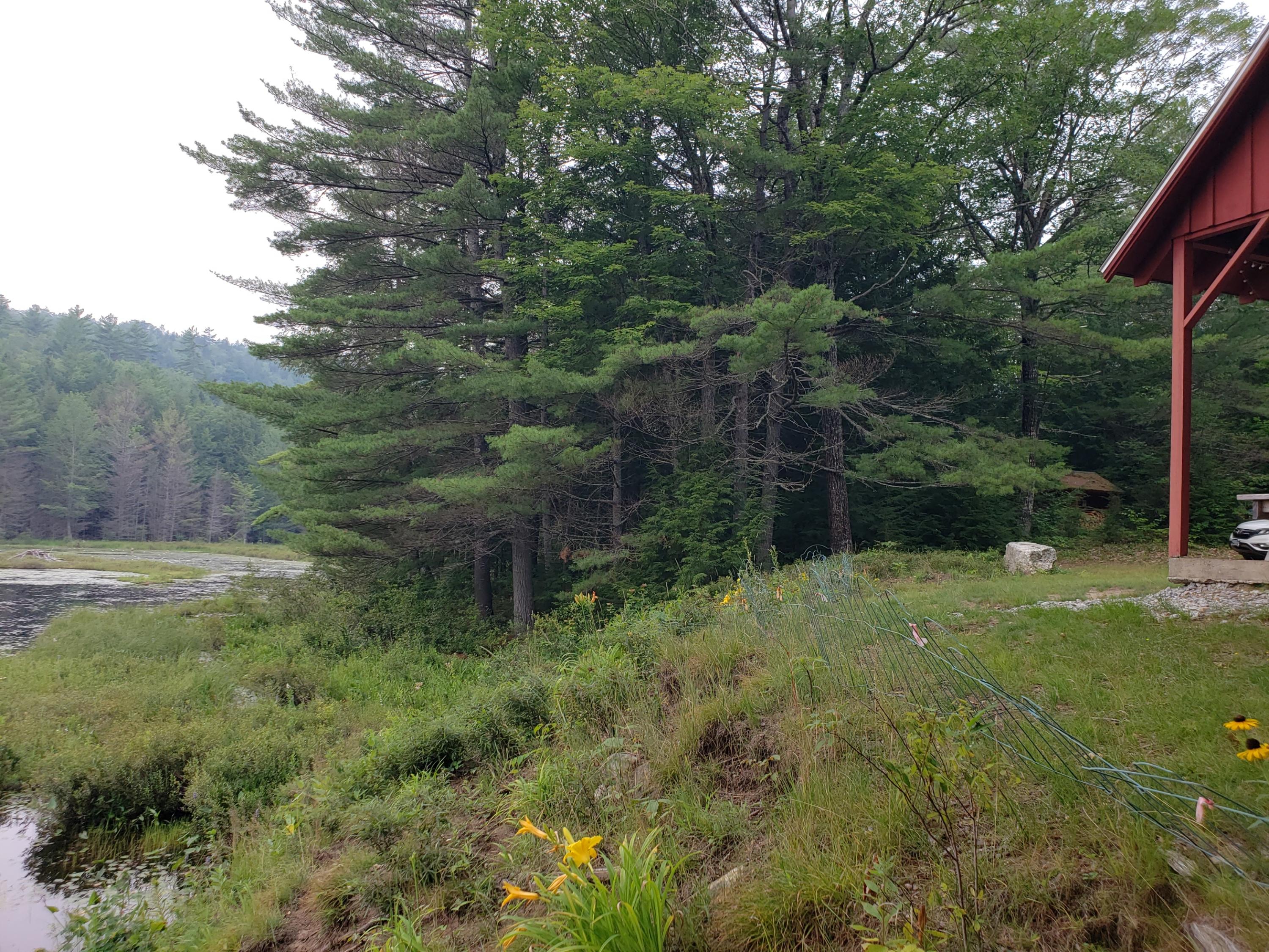 52 Whitney Pond Road Stoneham, ME 04231 - Photo 8 of 50 pond side