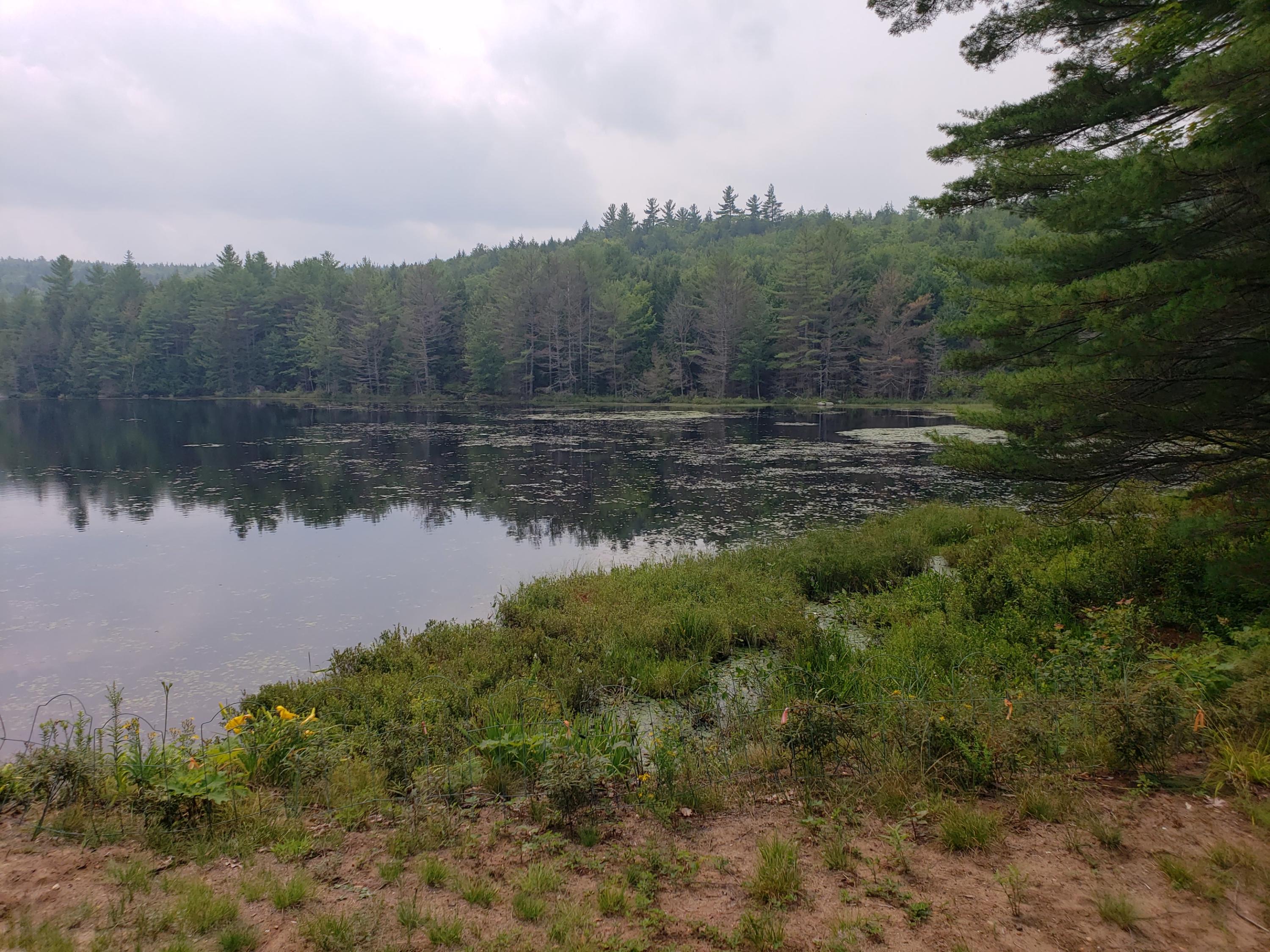 52 Whitney Pond Road Stoneham, ME 04231 - Photo 10 of 50 Pond view