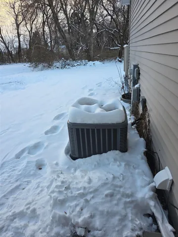 a view of backyard and trees