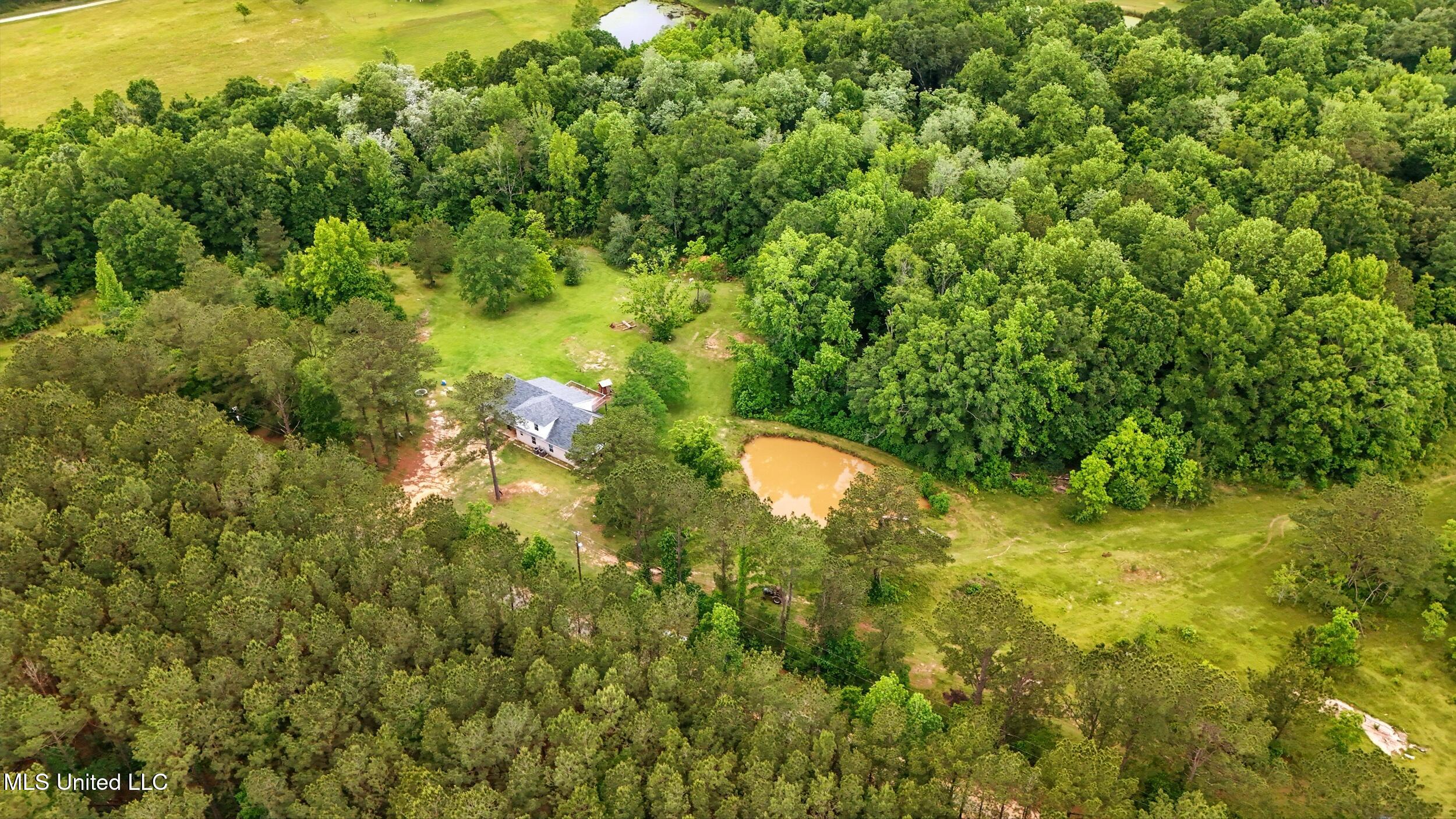 541 Old Ness Plantation Road Carriere, MS 39426 - Photo 11 of 12 10_aerial 1