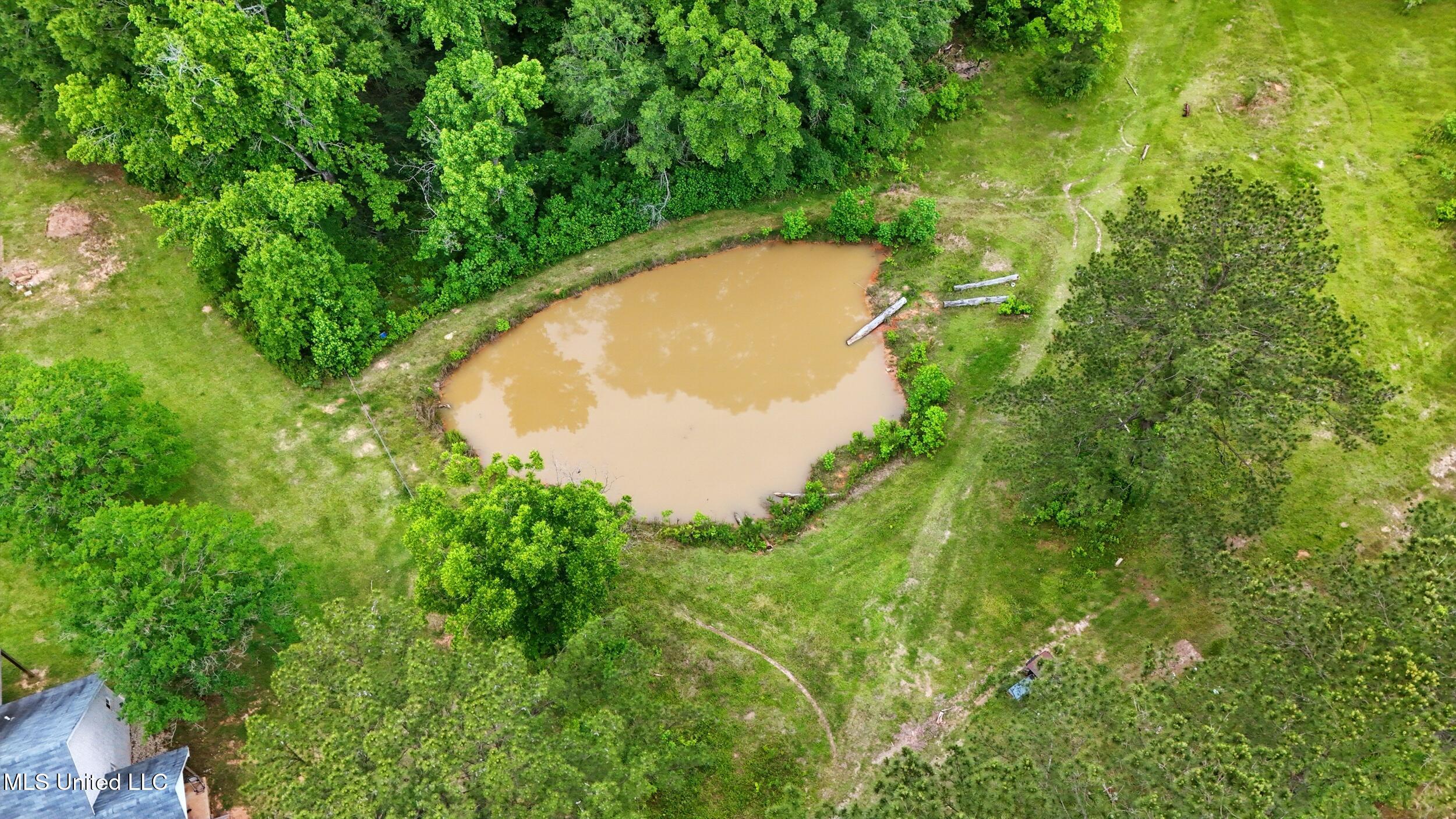 541 Old Ness Plantation Road Carriere, MS 39426 - Photo 6 of 12 5_pond 1