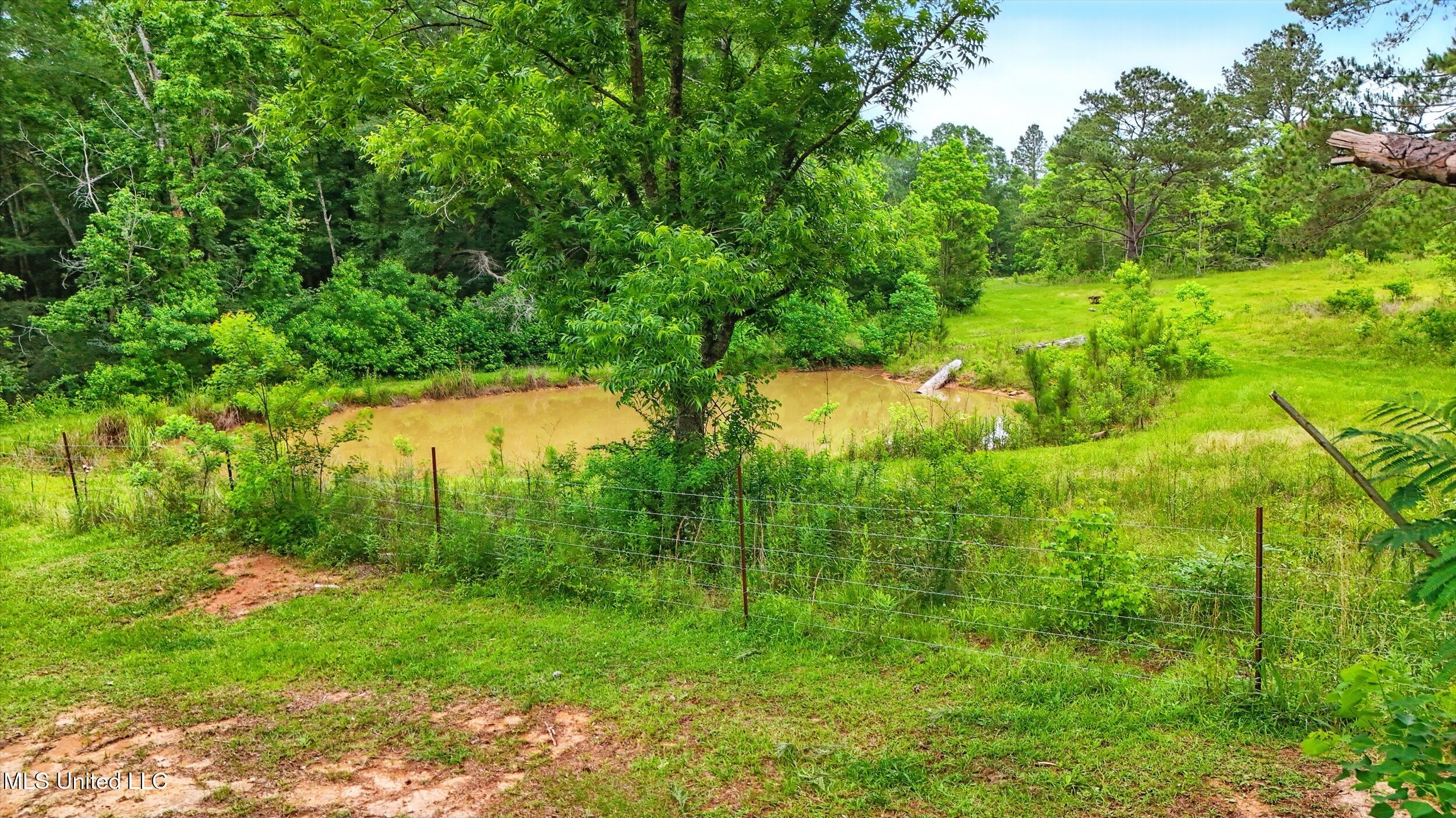 541 Old Ness Plantation Road Carriere, MS 39426 - Photo 7 of 12 6_pond 2