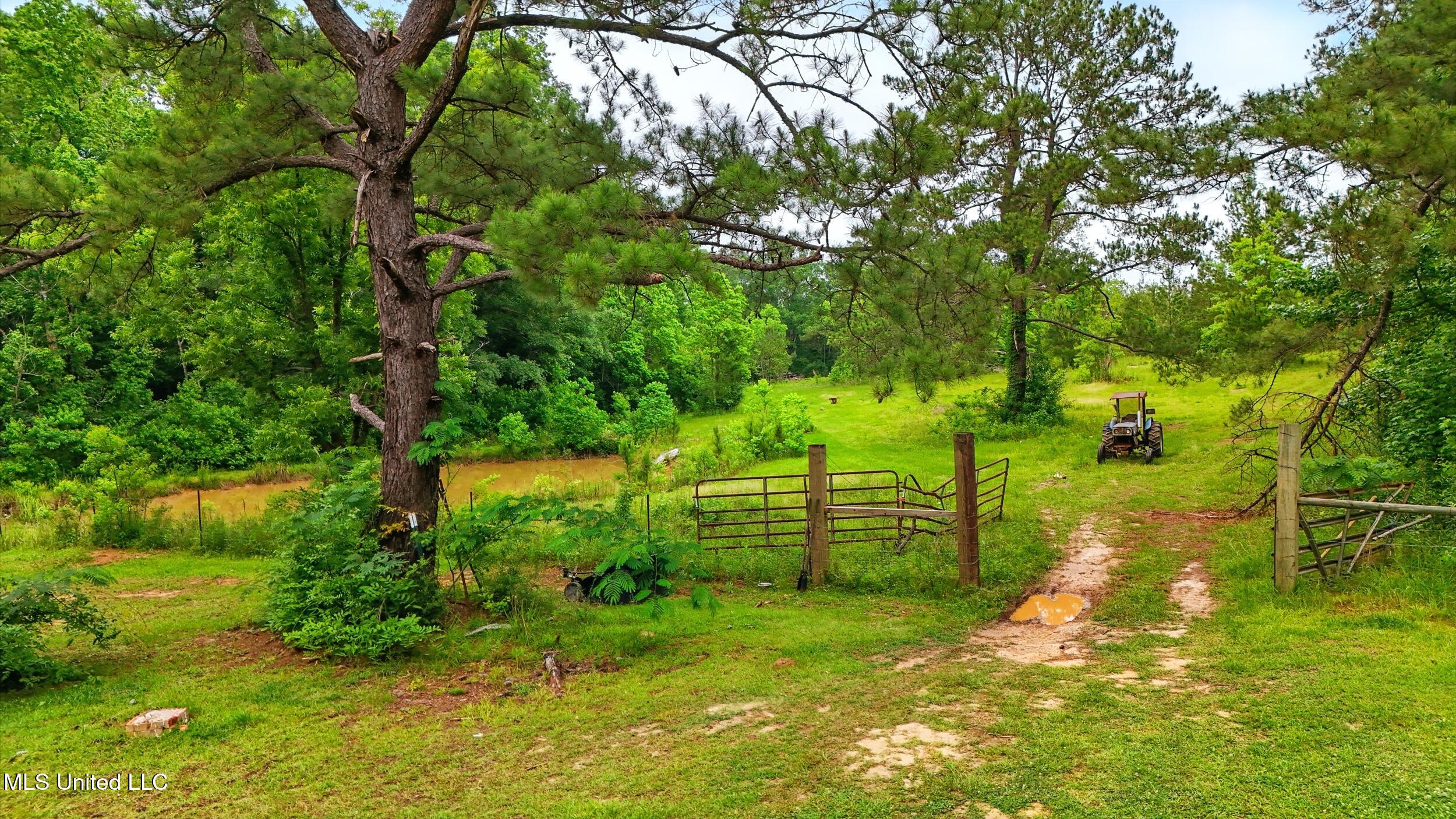 541 Old Ness Plantation Road Carriere, MS 39426 - Photo 8 of 12 7_pond and field