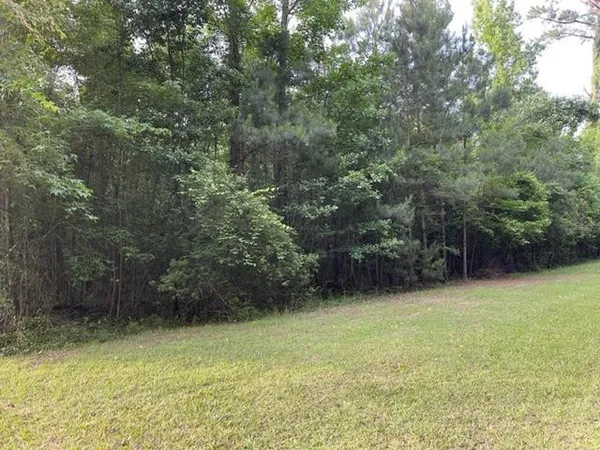 $220,000 | 0 Belle Acres Drive, Orangeburg, SC 29115