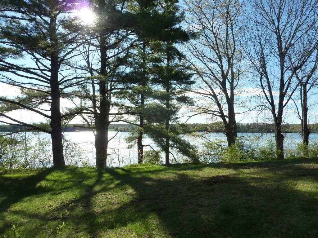 331 Mills / 215 Route North Newcastle, ME 04553 - Photo 7 of 24 View from garden & lawn