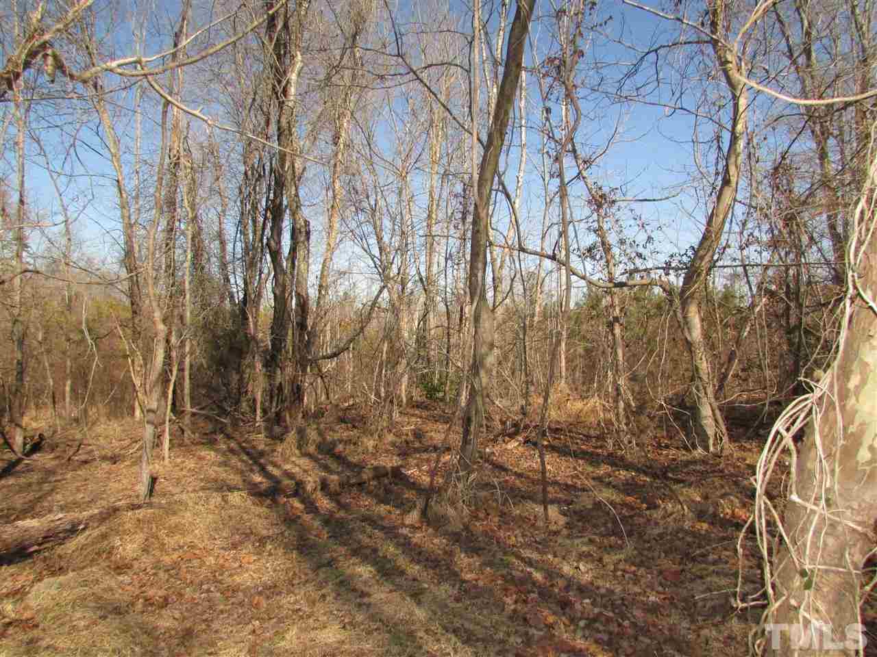 0 St Paul Church Road Roxboro, NC 27574 - Photo 14 of 22 Wooded area behind the barns. Plenty of deer tracks and pathways.