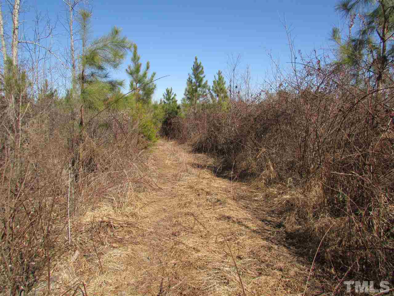 0 St Paul Church Road Roxboro, NC 27574 - Photo 17 of 22 View of the road that goes through part of the property