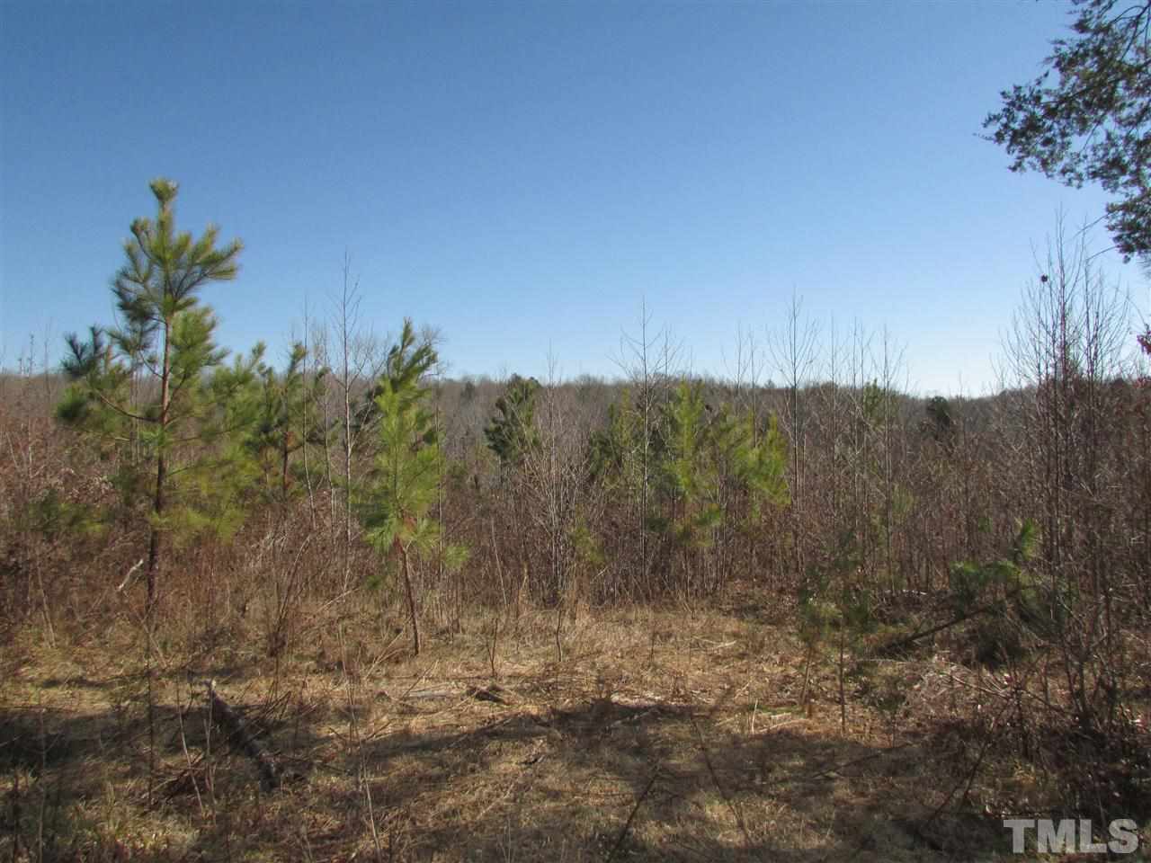 0 St Paul Church Road Roxboro, NC 27574 - Photo 5 of 22 And the end of the road, you are overlooking the back acreage that to a creek.