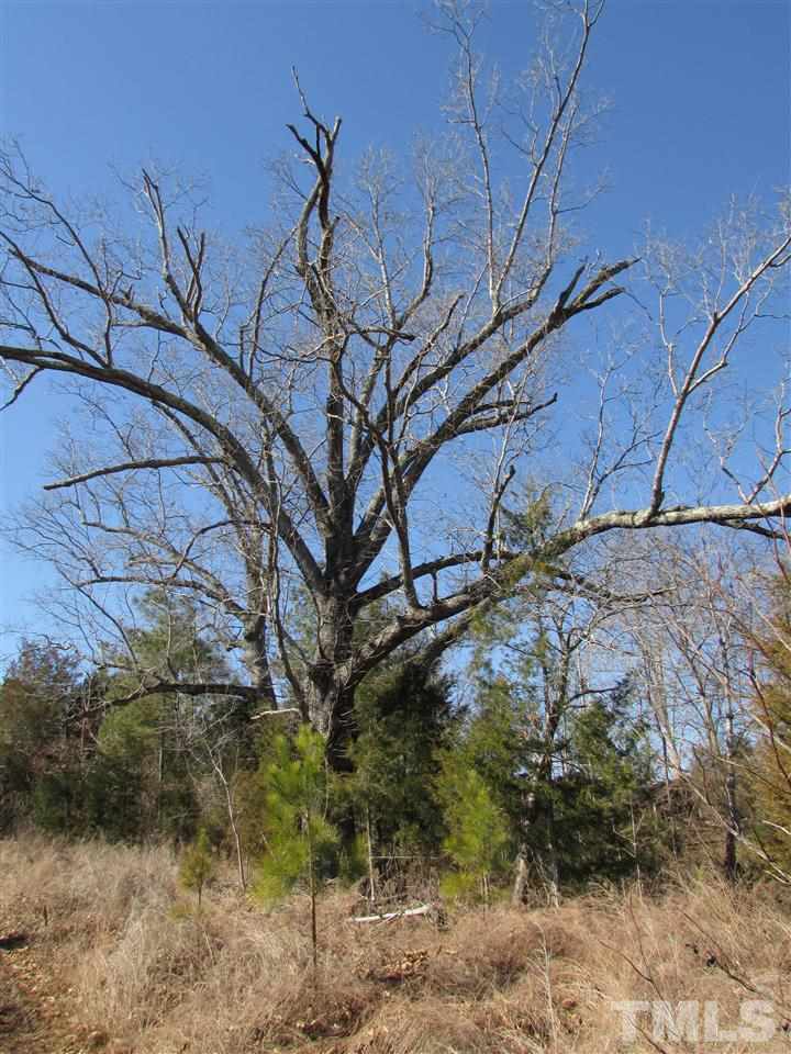 0 St Paul Church Road Roxboro, NC 27574 - Photo 10 of 22 There are a couple of tremendous oak trees located not far from the old house that add so much character to the property.