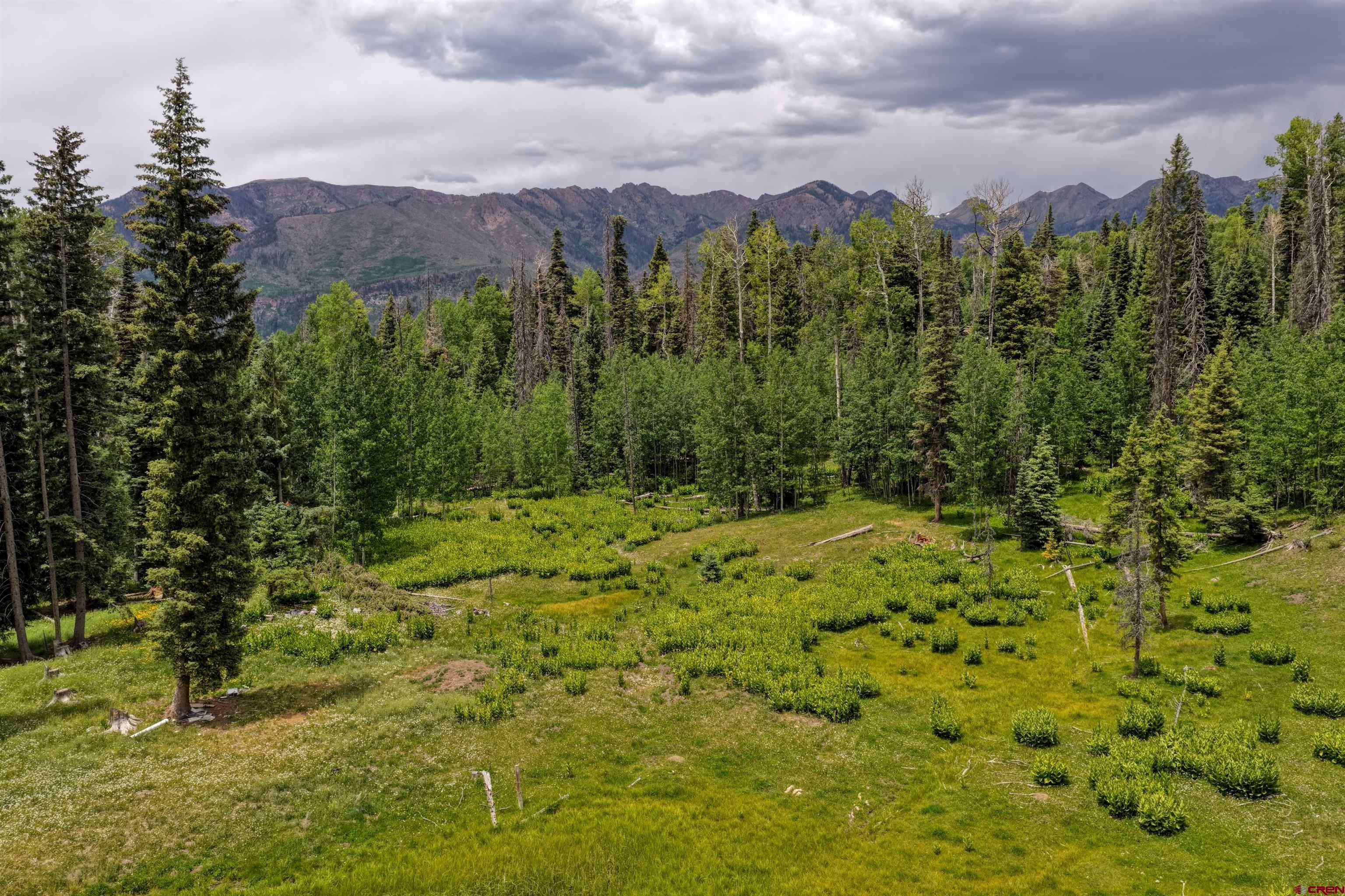 4566 Middle Mountain Road Bayfield, CO 81122 - Photo 7 of 12