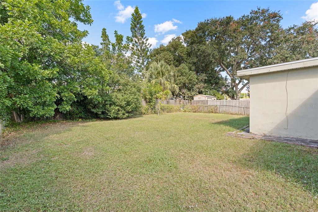 7651 Montague Loop New Port Richey, FL 34655 - Photo 25 of 26 a view of yard and tree