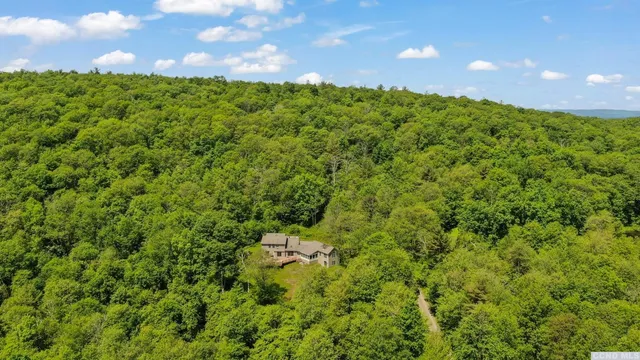 a view of a big yard