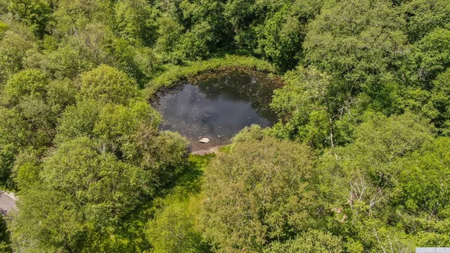 a view of a garden with a tree