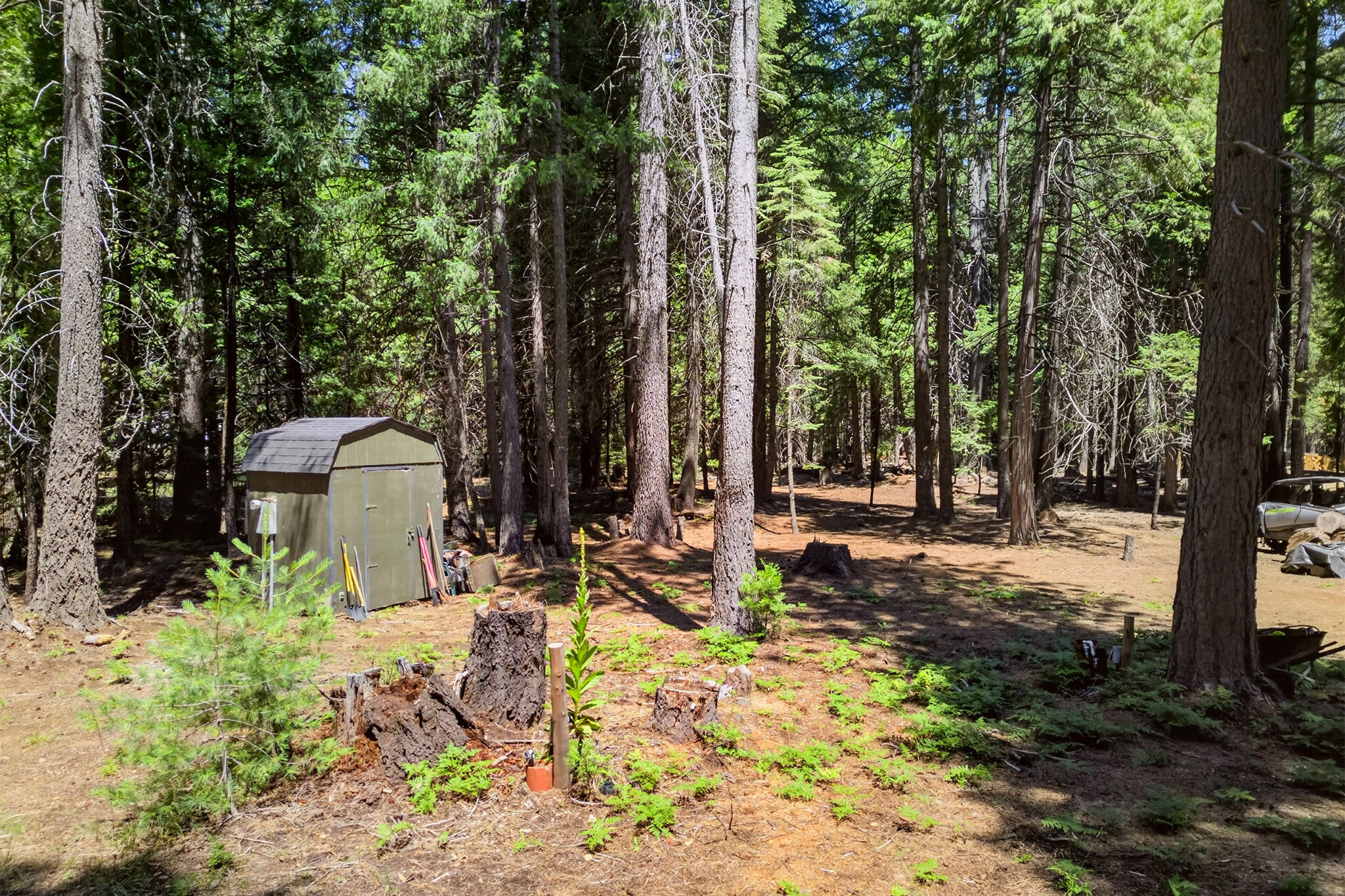 9426 Thatcher Mill Road Shingletown, CA 96088 - Photo 27 of 32 PixelsByPanitha_9426ThatcherMillRdShingl