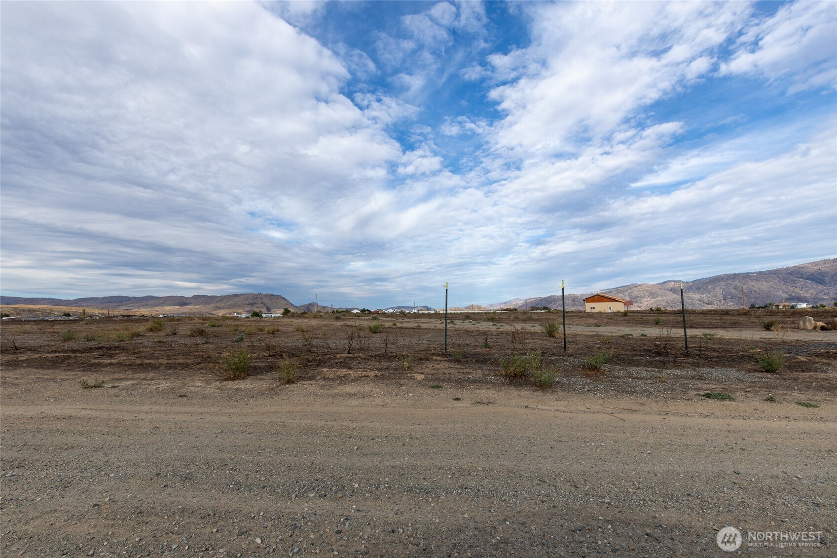 a view of a dry yard with wooden fence