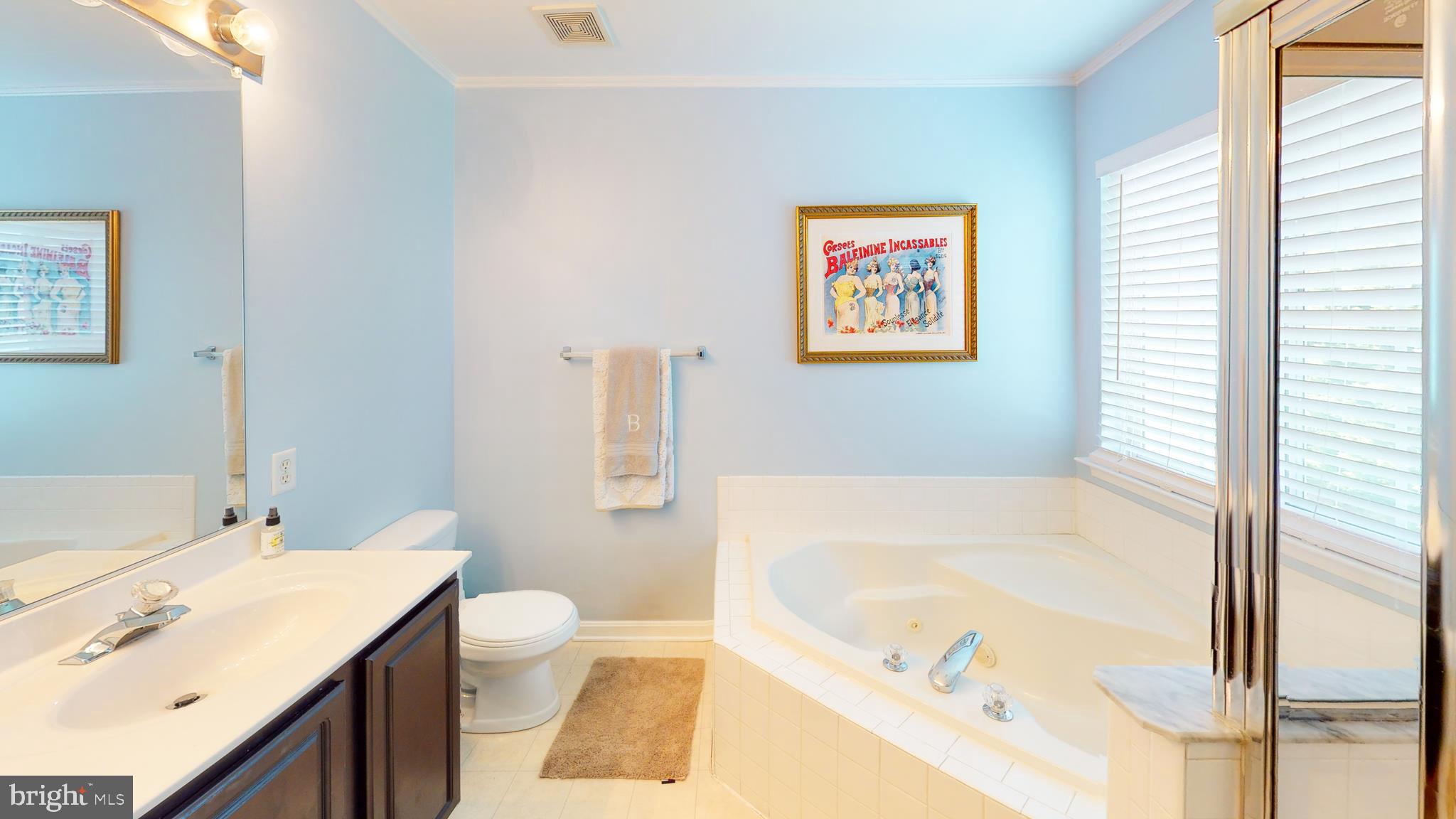 778 Shallow Ridge Court Abingdon, MD 21009 - Photo 23 of 26 Master bath