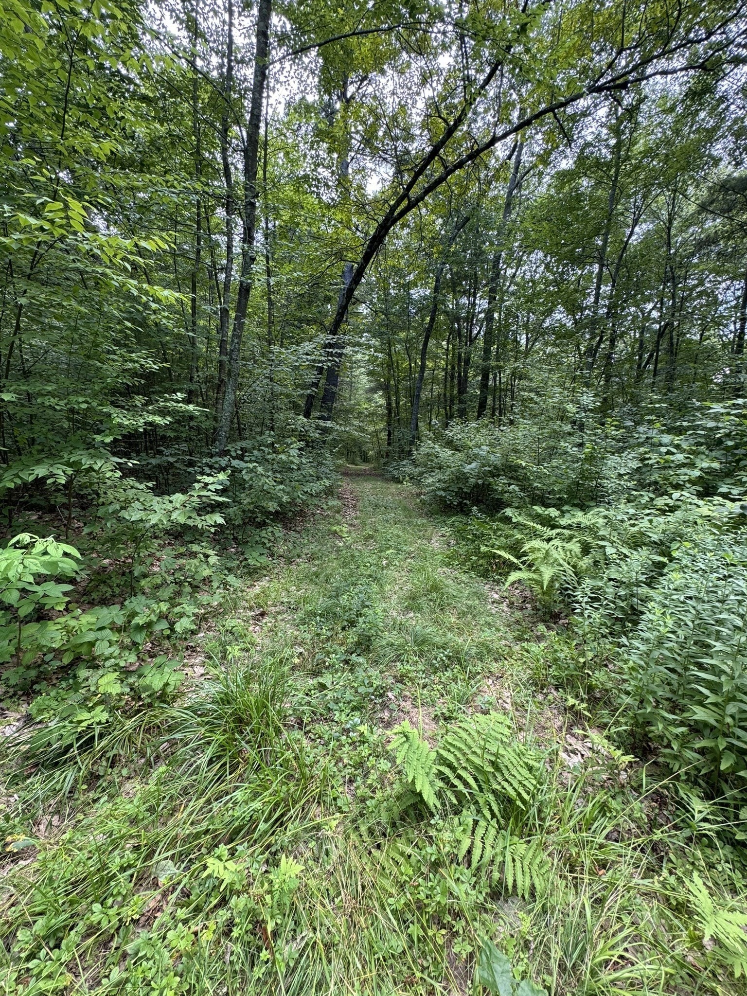0 Patrill Hollow Road Hardwick, MA 01037 - Photo 9 of 24 Gallery Image 9