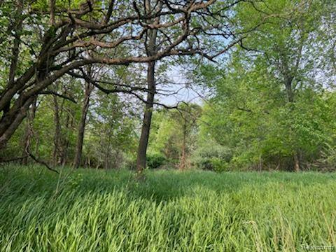4 Elevation Lane Howell, MI 48855 - Photo 2 of 7