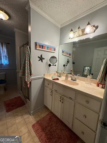 a bathroom with a double vanity sink mirror and toilet