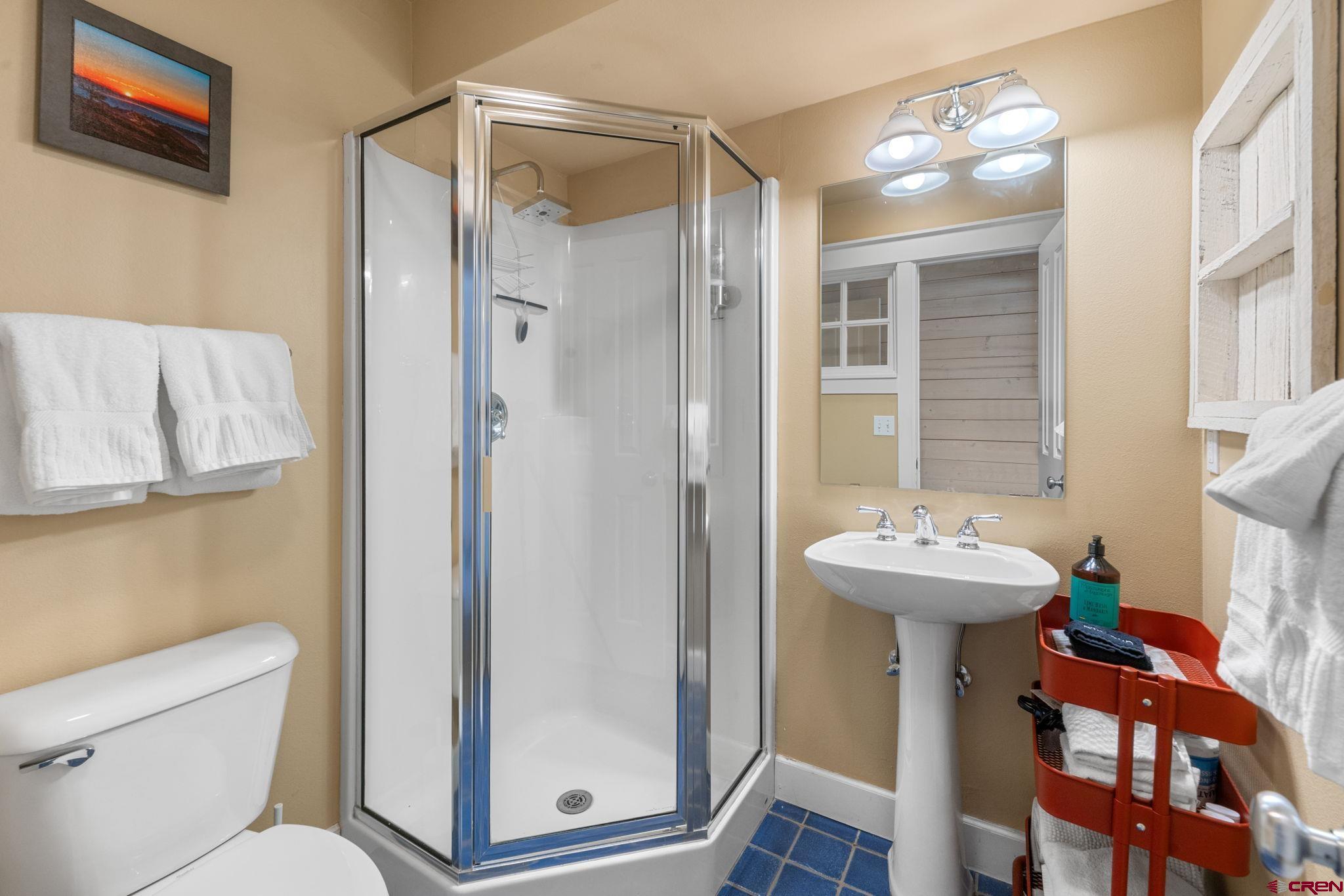 205 Horseshoe Crested Butte, CO 81225 - Photo 24 of 28 a bathroom with a sink toilet and shower