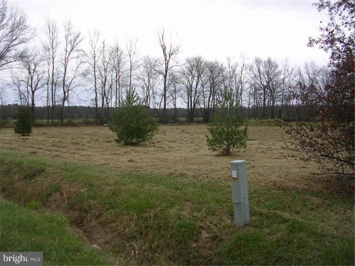 524 Lords Corner Road Felton, DE 19943 - Photo 2 of 15 Exterior Side