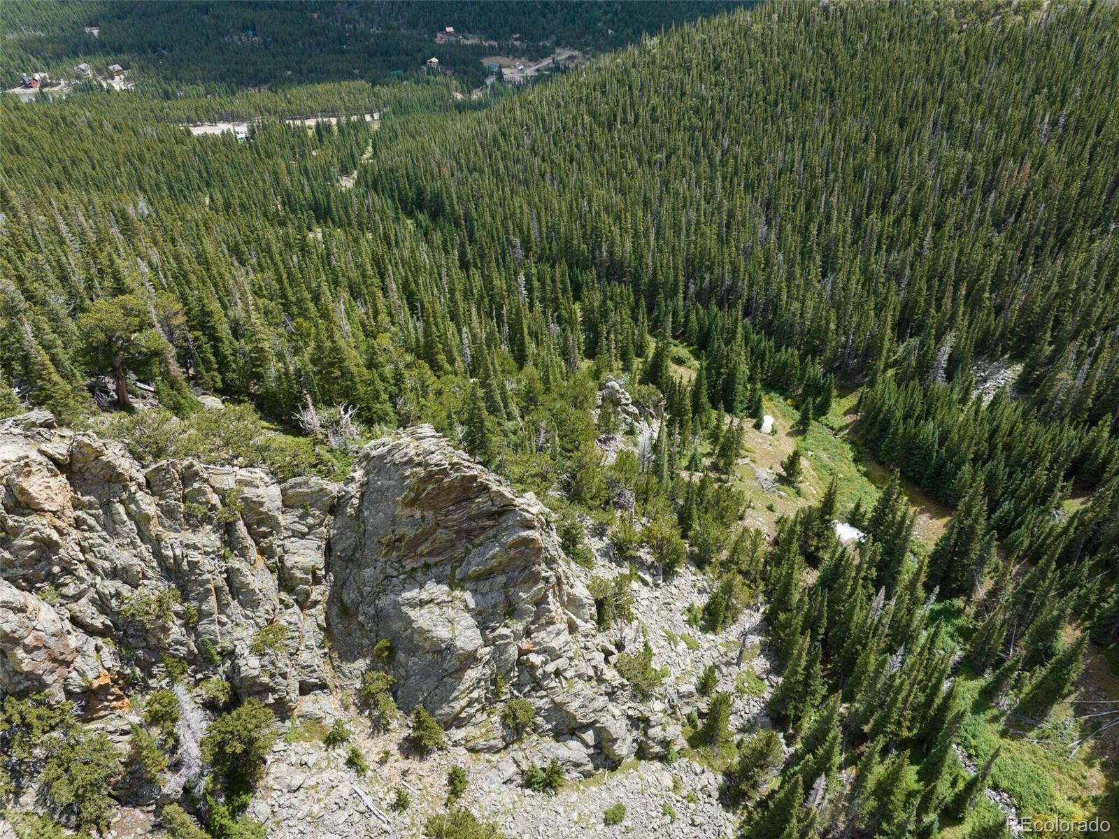 8821 Fall River Road Idaho Springs, CO 80452 - Photo 12 of 21