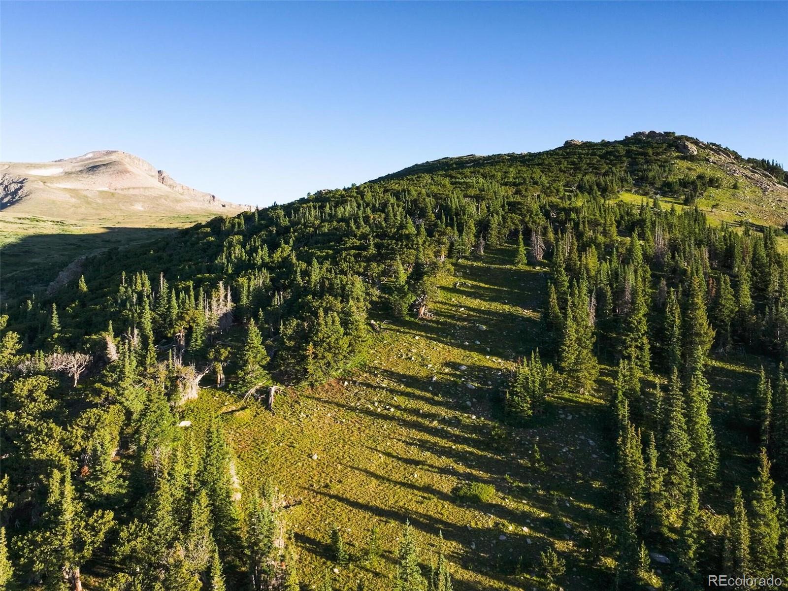 8821 Fall River Road Idaho Springs, CO 80452 - Photo 16 of 21